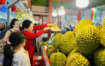 Không cần về miền Tây vẫn có thể trải nghiệm mùa trái chín giữa TPHCM