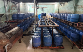 Phát hiện cơ sở sản xuất hơn 1.000 tấn giá đỗ chứa chất cấm ở TPHCM