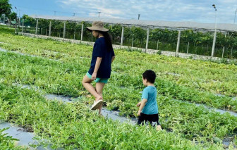 Cho trẻ đi bán vé số để trải nghiệm 'cái khổ', mẹ bất ngờ khi con… thích hơn đi học