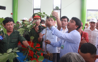 Đà Nẵng tổ chức lễ hội sâm Ngọc Linh trong 3 ngày ở trung tâm và các xã miền núi