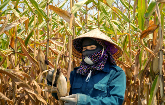 Dự báo thời tiết ngày 4/6: Miền Trung có nơi nắng nóng trên 39 độ