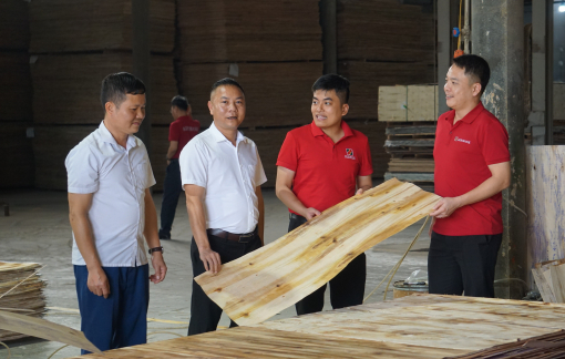 Kỳ 2: Từ đồng vốn nhỏ đến những mô hình lớn