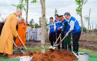 600 cây giáng hương được trồng mới tại “Vườn cây Đại đoàn kết” ở xã Bình Lợi, TPHCM