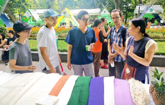 Giấc mơ kinh tế xanh từ những chiếc lá khóm