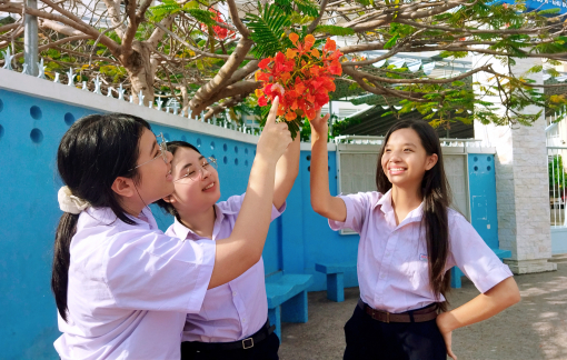 Mùa hoa phượng nở