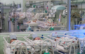 Phát hiện mối quan hệ giữa bệnh viêm nướu răng và chứng vô sinh ở phụ nữ