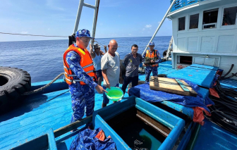 Bắt giữ tàu cá vận chuyển hơn 150.000 lít dầu D.O trái phép