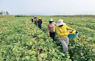 Chuyện những người phụ nữ giữ lửa “tình làng nghĩa xóm”
