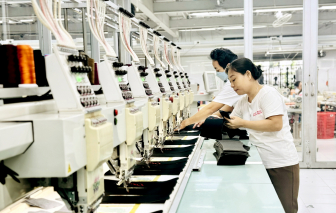 Thiết kế lại việc làm để không ai bị bỏ lại