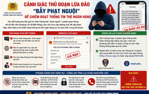 Coi chừng mất sạch tiền vì chiêu lừa phạt nguội qua website giả dịch vụ công