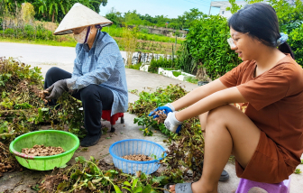 Lớp học mùa hè của ngoại