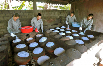 Phụ nữ ven biển miền Trung làm kinh tế xanh