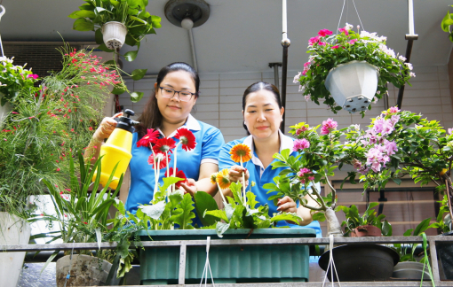 Lan tỏa nếp sống xanh từ những ban công rực rỡ sắc màu