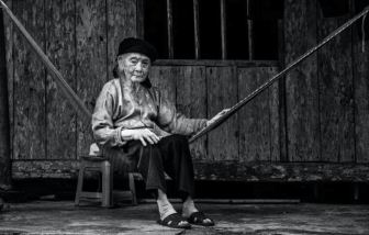 Tình mẫu tử