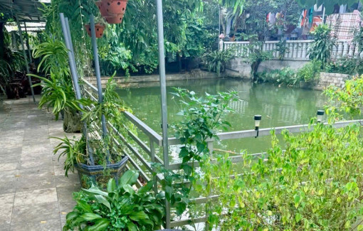 2 chị em đuối nước khi chơi ở ao nước gần nhà