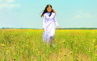 Truyện ngắn - Thương lắm con diều