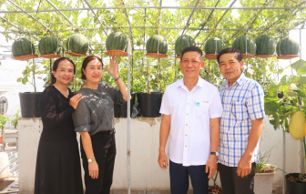 Những khu vườn xanh mát trên sân thượng