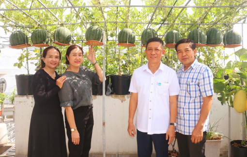 Những khu vườn xanh mát trên sân thượng